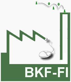 Logo de BKF-FI [France] et BKF-FI [Burkina] Intelligence and business intelligence